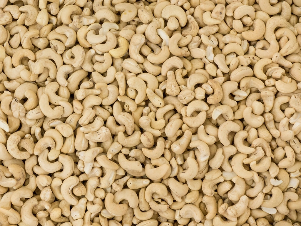Whole white cashew kernels — Cashew Nuts supplied by Ahmed Trading Company for export