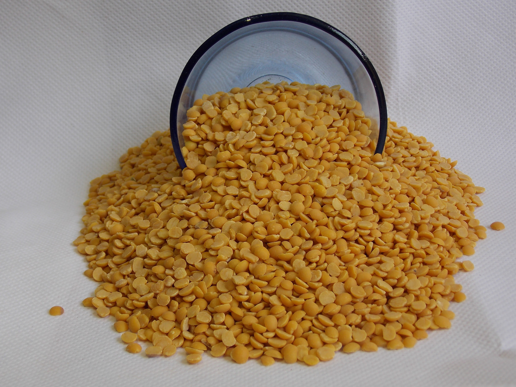 Split pigeon pea pulses — Pigeon Pea supplied by Ahmed Trading Company for export