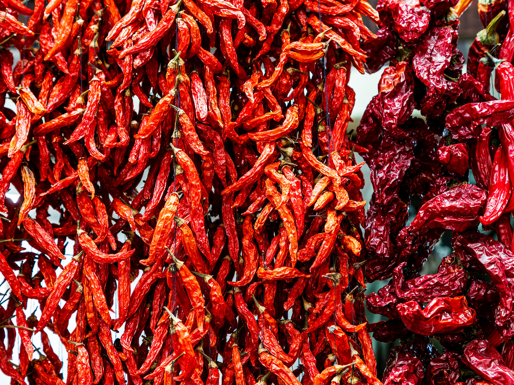 Dried red chilli peppers — Red Chilli supplied by Ahmed Trading Company for export